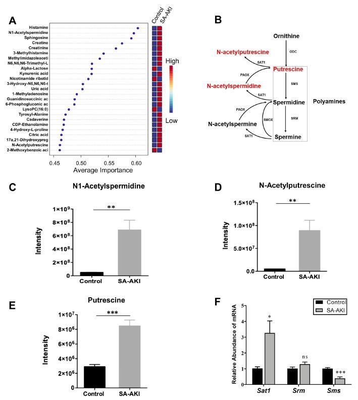 https://cdn.ncbi.nlm.nih.gov/pmc/blobs/46f4/10526551/5ef358443482/biomolecules-13-01329-g008.jpg
