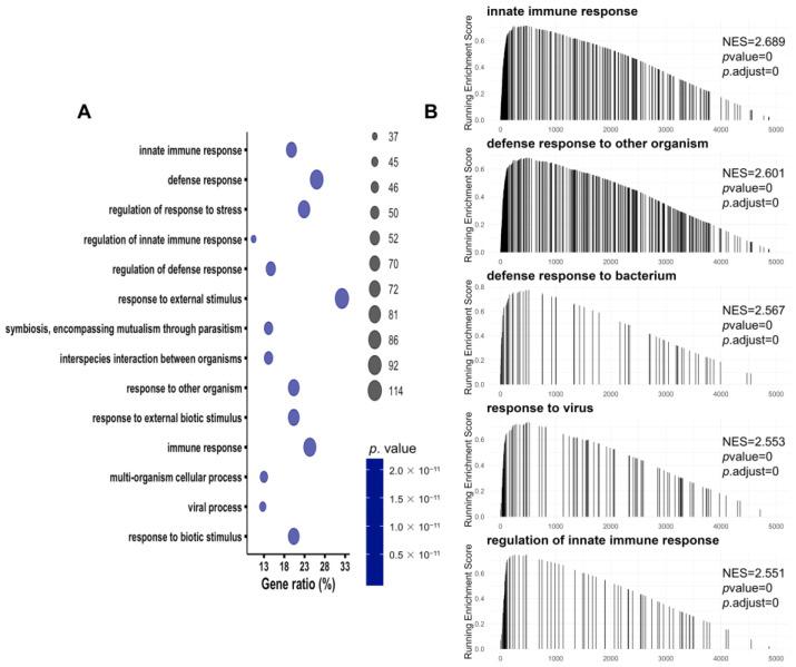 https://cdn.ncbi.nlm.nih.gov/pmc/blobs/46f4/10526551/63b000d3946b/biomolecules-13-01329-g004.jpg