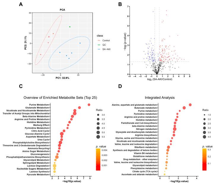 https://cdn.ncbi.nlm.nih.gov/pmc/blobs/46f4/10526551/bb4dfd5fbb14/biomolecules-13-01329-g006.jpg