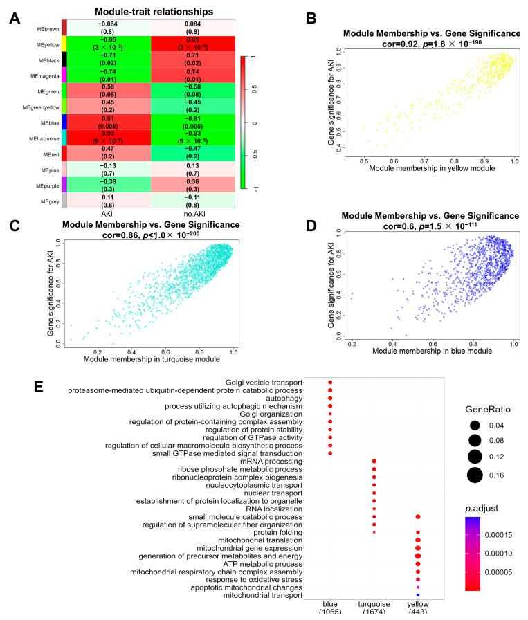 https://cdn.ncbi.nlm.nih.gov/pmc/blobs/46f4/10526551/ecae19e19281/biomolecules-13-01329-g005.jpg