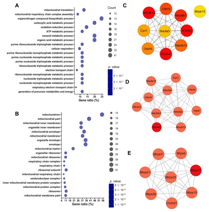 https://cdn.ncbi.nlm.nih.gov/pmc/blobs/46f4/10526551/f16426b29ecd/biomolecules-13-01329-g002.jpg
