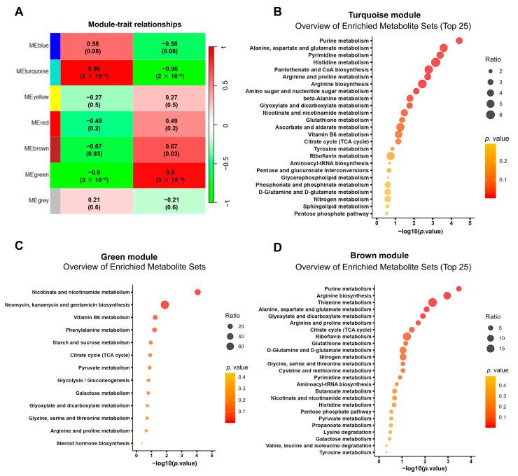 https://cdn.ncbi.nlm.nih.gov/pmc/blobs/46f4/10526551/fe11993d8386/biomolecules-13-01329-g007.jpg
