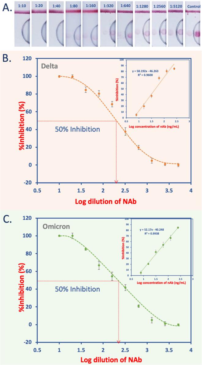 https://cdn.ncbi.nlm.nih.gov/pmc/blobs/46f5/11270523/89c6346f19df/ac3c05144_0003.jpg