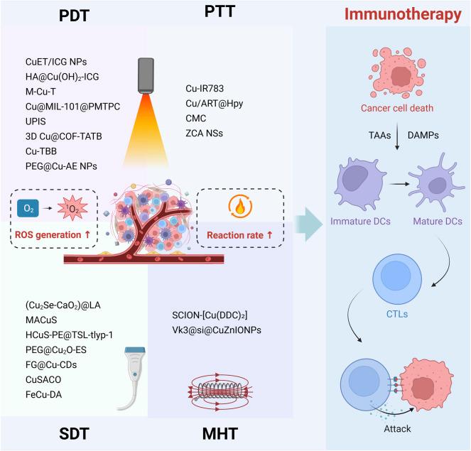 https://cdn.ncbi.nlm.nih.gov/pmc/blobs/46f6/12289571/530d2df2ddc1/fphar-16-1646890-g002.jpg