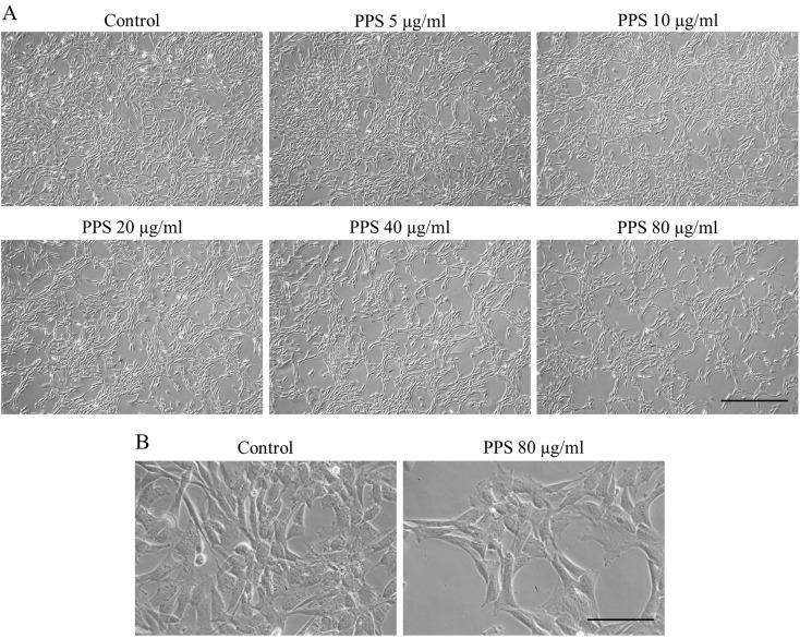 https://cdn.ncbi.nlm.nih.gov/pmc/blobs/46fc/7468060/baa33a8e5d94/jvms-82-1209-g001.jpg