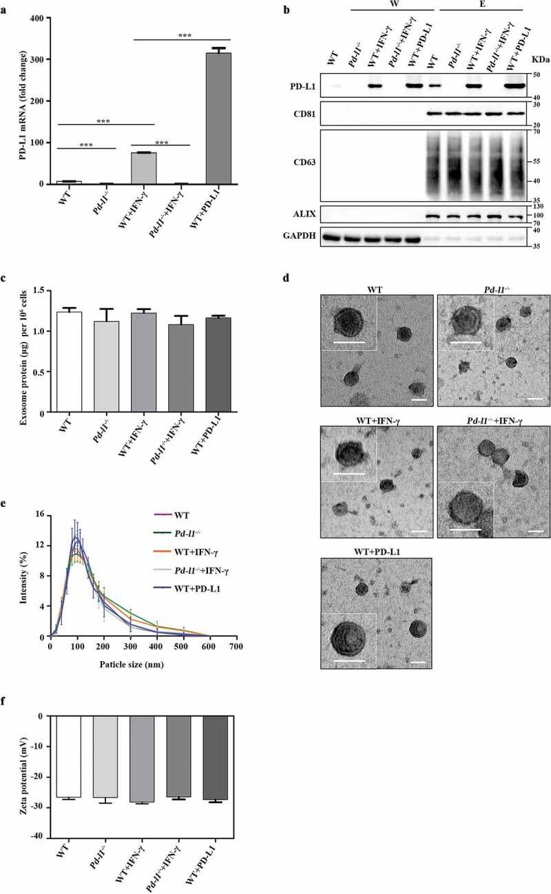 https://cdn.ncbi.nlm.nih.gov/pmc/blobs/46fd/7580831/50a889dd4233/ZJEV_A_1709262_F0001_OC.jpg