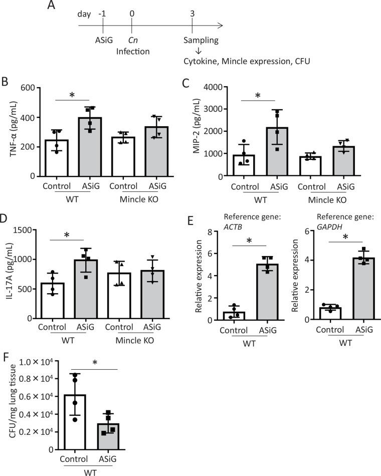 https://cdn.ncbi.nlm.nih.gov/pmc/blobs/46fe/12061408/4cd1e9504aba/ppat.1013089.g015.jpg