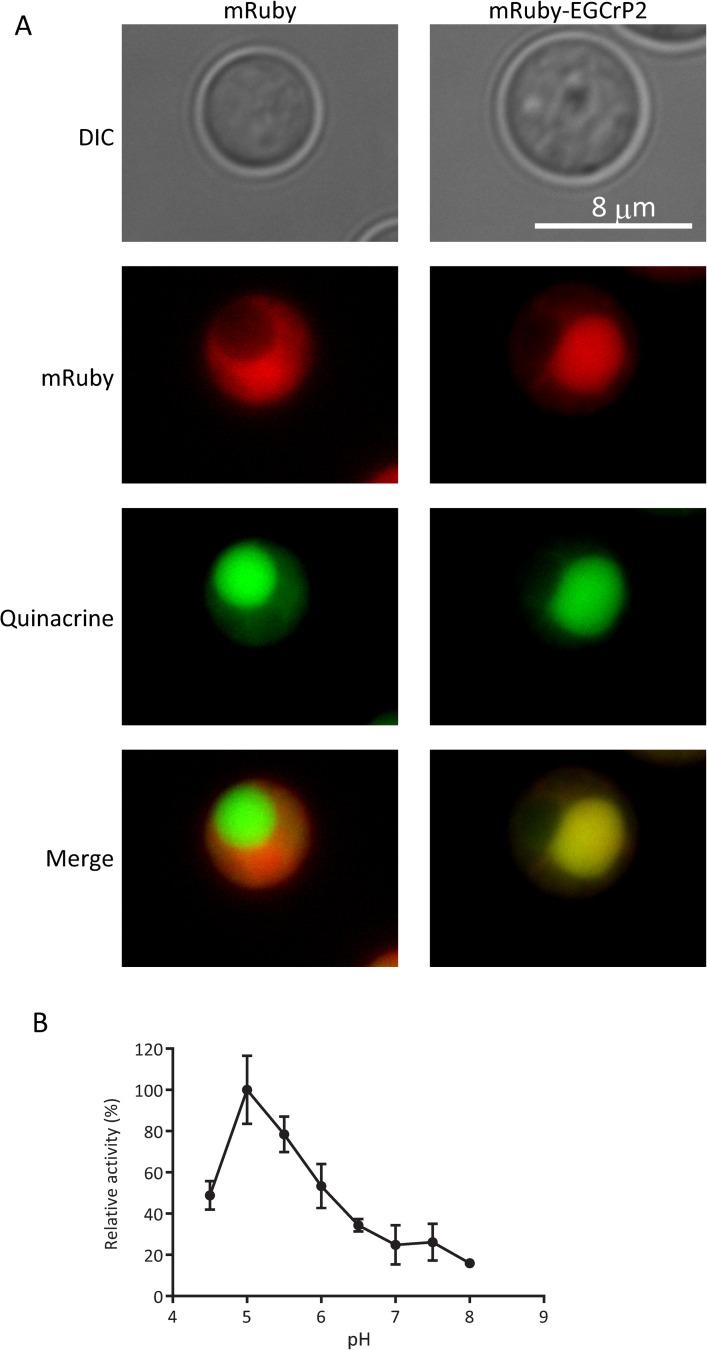 https://cdn.ncbi.nlm.nih.gov/pmc/blobs/46fe/12061408/5805e506b7c9/ppat.1013089.g008.jpg