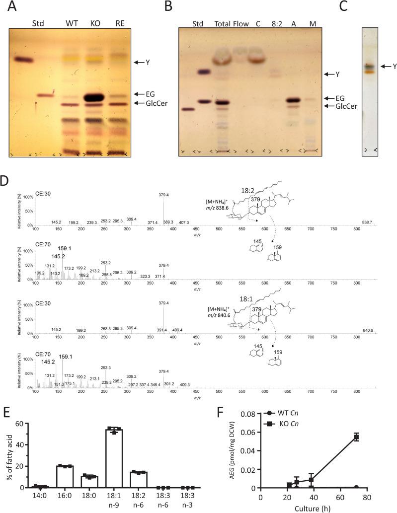 https://cdn.ncbi.nlm.nih.gov/pmc/blobs/46fe/12061408/5a1cb5d1946c/ppat.1013089.g009.jpg