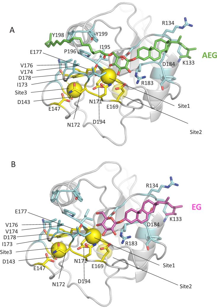https://cdn.ncbi.nlm.nih.gov/pmc/blobs/46fe/12061408/5c6565361fc2/ppat.1013089.g012.jpg