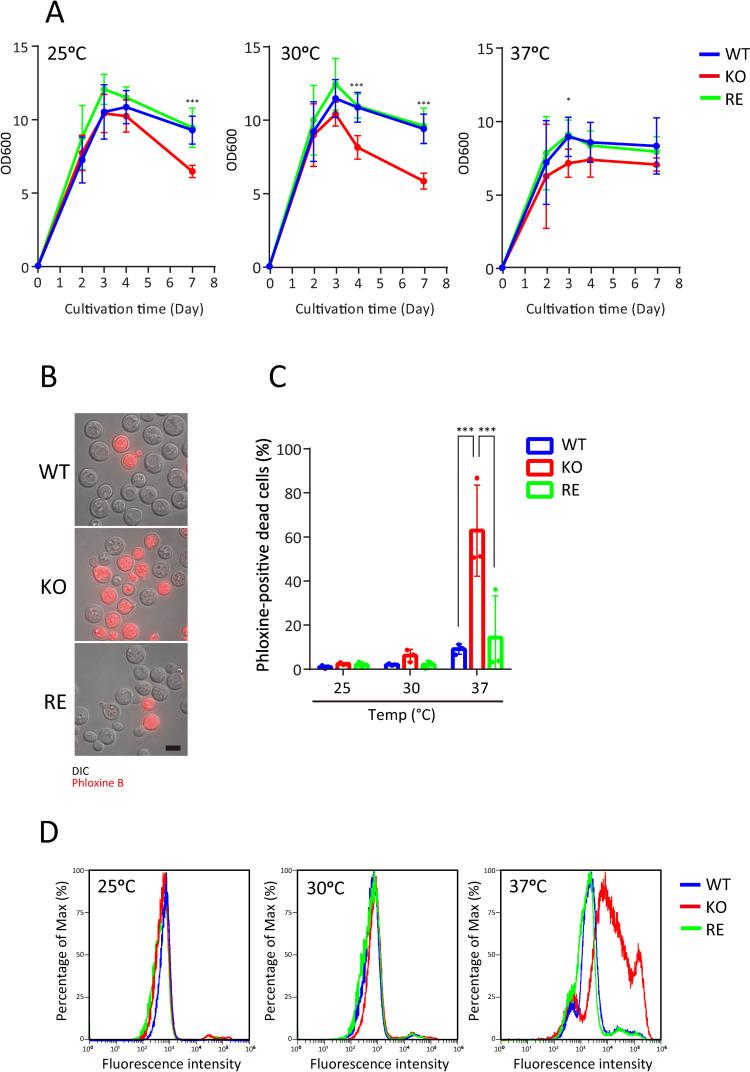 https://cdn.ncbi.nlm.nih.gov/pmc/blobs/46fe/12061408/90e86634cf63/ppat.1013089.g002.jpg
