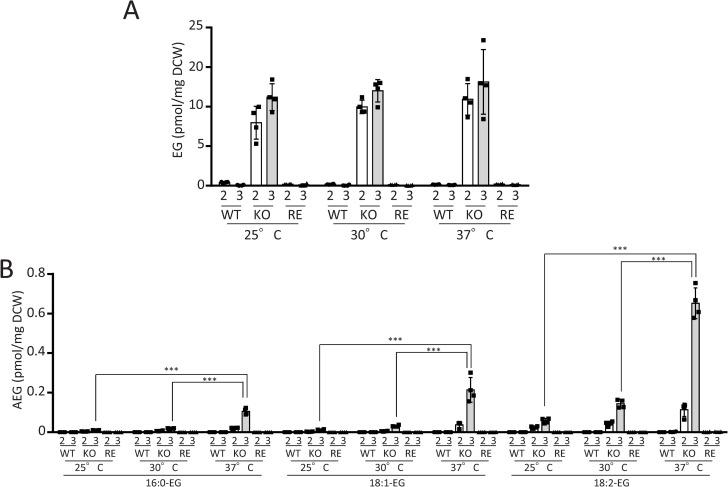https://cdn.ncbi.nlm.nih.gov/pmc/blobs/46fe/12061408/dd5441706c96/ppat.1013089.g010.jpg