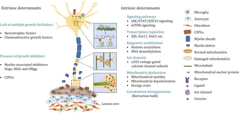 https://cdn.ncbi.nlm.nih.gov/pmc/blobs/46ff/10501188/1ce514d285dd/pwad003_fig2.jpg