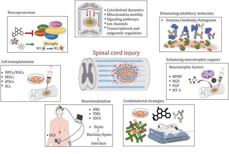 https://cdn.ncbi.nlm.nih.gov/pmc/blobs/46ff/10501188/f4bdbc043e75/pwad003_fig3.jpg