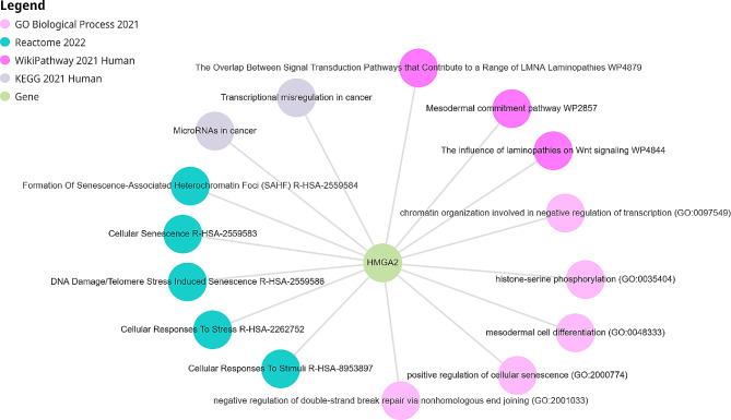https://cdn.ncbi.nlm.nih.gov/pmc/blobs/4700/11131319/8ba9b1d06ba3/12957_2024_3415_Fig4_HTML.jpg