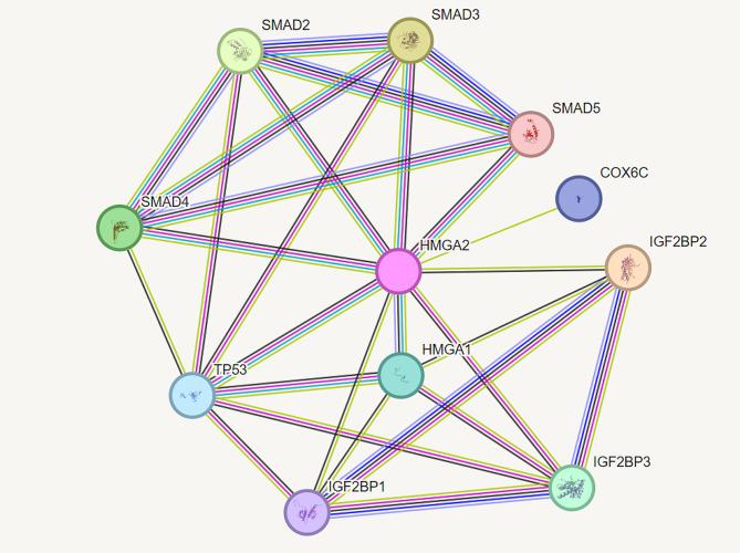 https://cdn.ncbi.nlm.nih.gov/pmc/blobs/4700/11131319/dccfce1410ae/12957_2024_3415_Fig5_HTML.jpg