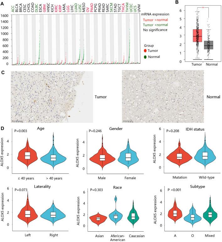 https://cdn.ncbi.nlm.nih.gov/pmc/blobs/4701/9911666/0ea5780078bc/fgene-14-1027690-g001.jpg