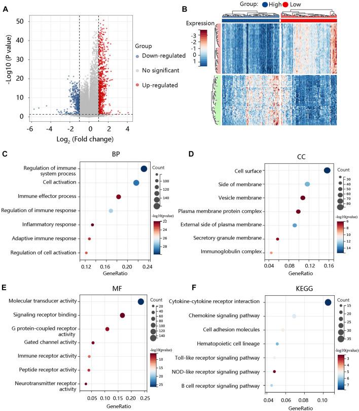 https://cdn.ncbi.nlm.nih.gov/pmc/blobs/4701/9911666/271cbc094bfb/fgene-14-1027690-g010.jpg