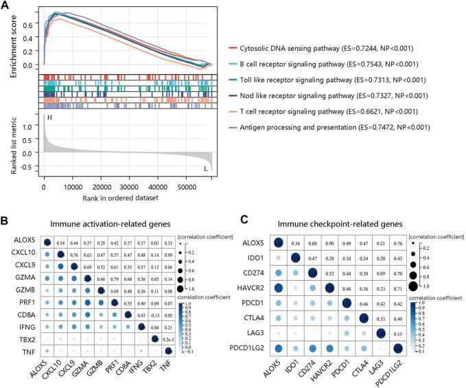 https://cdn.ncbi.nlm.nih.gov/pmc/blobs/4701/9911666/910356e24b30/fgene-14-1027690-g011.jpg