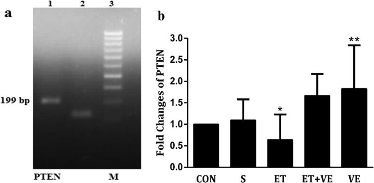 https://cdn.ncbi.nlm.nih.gov/pmc/blobs/4702/5801830/b3dbd67dc57f/gr4.jpg