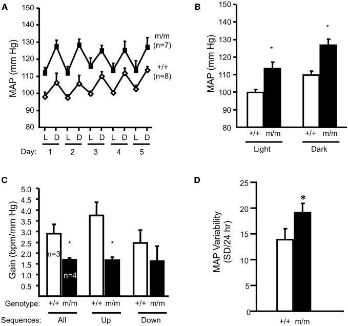 https://cdn.ncbi.nlm.nih.gov/pmc/blobs/4704/3428779/8a6c61120fdf/fphys-03-00341-g0006.jpg