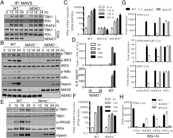 https://cdn.ncbi.nlm.nih.gov/pmc/blobs/4704/5699845/002b21bbcfb7/ppat.1006720.g003.jpg