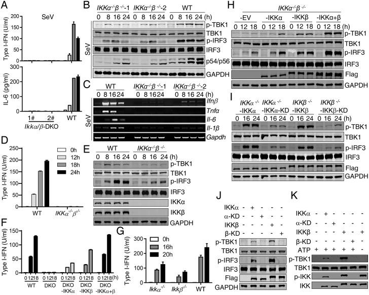 https://cdn.ncbi.nlm.nih.gov/pmc/blobs/4704/5699845/ae2831478cab/ppat.1006720.g007.jpg