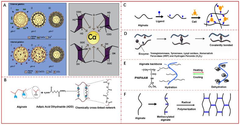 https://cdn.ncbi.nlm.nih.gov/pmc/blobs/4704/9146629/55900638db65/pharmaceutics-14-00909-g007.jpg