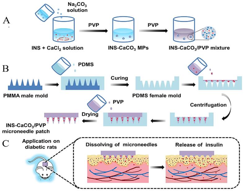 https://cdn.ncbi.nlm.nih.gov/pmc/blobs/4704/9146629/6295c31683e4/pharmaceutics-14-00909-g009.jpg