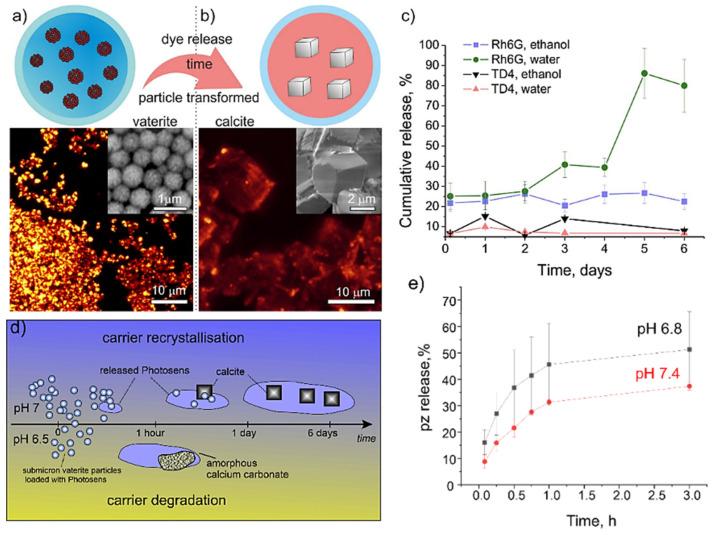 https://cdn.ncbi.nlm.nih.gov/pmc/blobs/4704/9146629/e1da9438b387/pharmaceutics-14-00909-g005.jpg