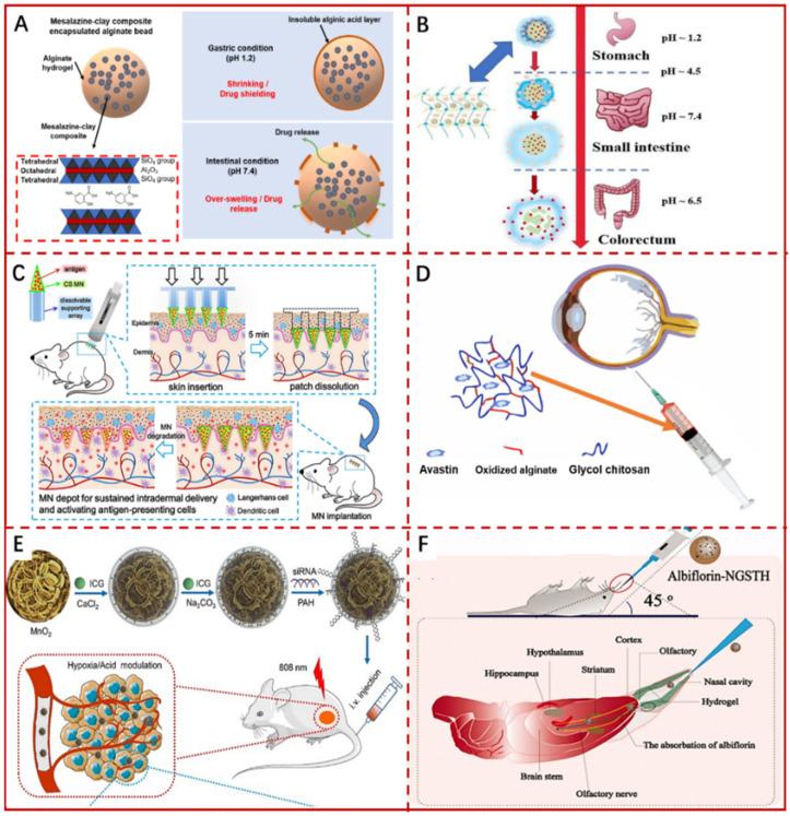 https://cdn.ncbi.nlm.nih.gov/pmc/blobs/4704/9146629/ebda3885fe6f/pharmaceutics-14-00909-g008.jpg