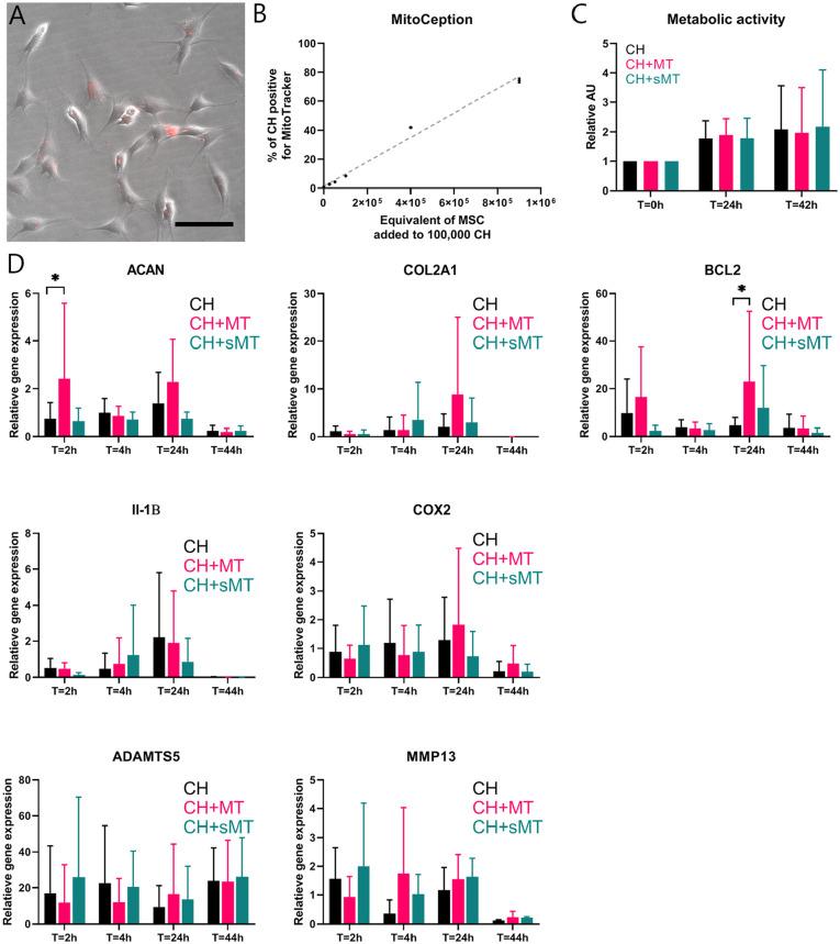 https://cdn.ncbi.nlm.nih.gov/pmc/blobs/4705/9924973/22c0c4107b89/10.1177_19476035221126346-fig4.jpg