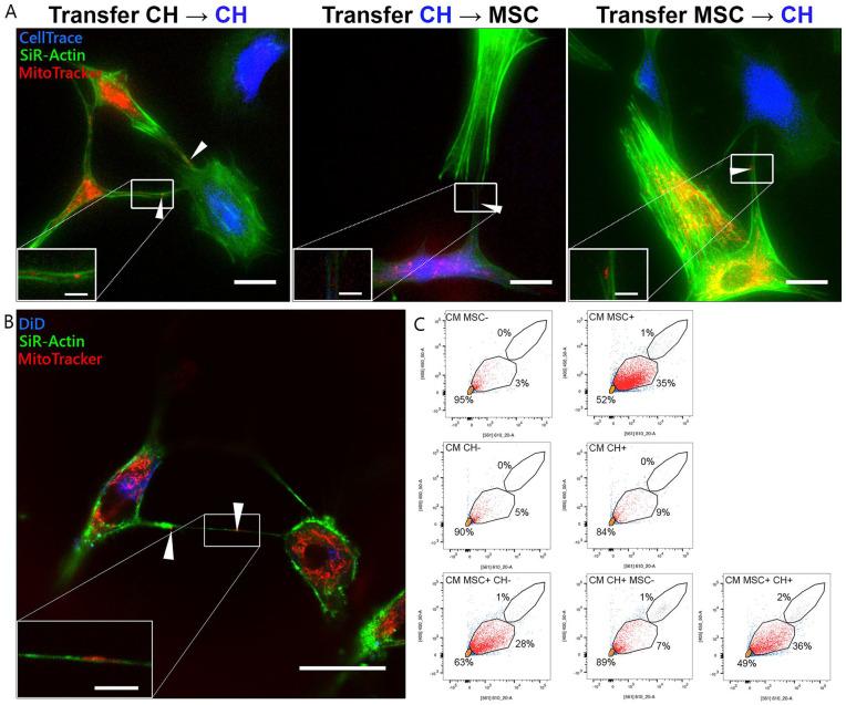 https://cdn.ncbi.nlm.nih.gov/pmc/blobs/4705/9924973/8e9a4fe5fa5d/10.1177_19476035221126346-fig2.jpg