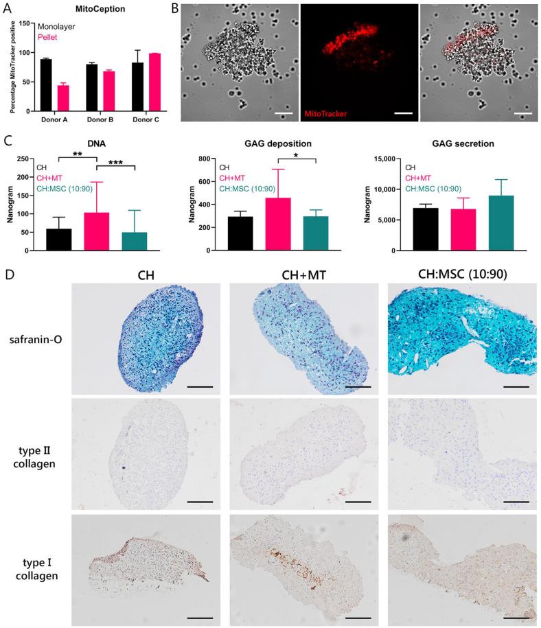 https://cdn.ncbi.nlm.nih.gov/pmc/blobs/4705/9924973/dea486f0a400/10.1177_19476035221126346-fig5.jpg