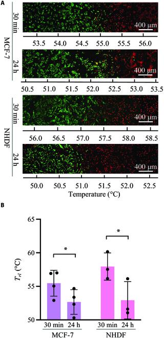 https://cdn.ncbi.nlm.nih.gov/pmc/blobs/4706/10405790/0b313cb6ea44/cbsystems.0049.fig.006.jpg