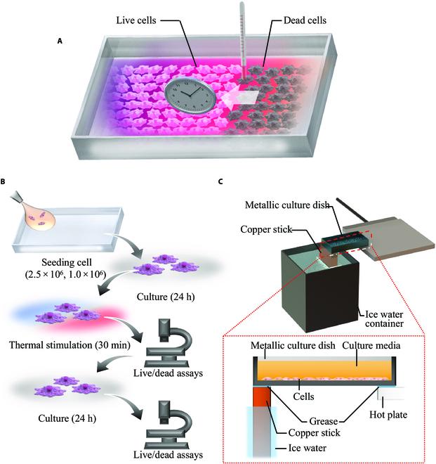 https://cdn.ncbi.nlm.nih.gov/pmc/blobs/4706/10405790/3d7ccfaf1941/cbsystems.0049.fig.001.jpg