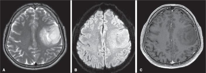 https://cdn.ncbi.nlm.nih.gov/pmc/blobs/4707/11406976/5605d8ee8d72/rb-57-e20240025-g03.jpg