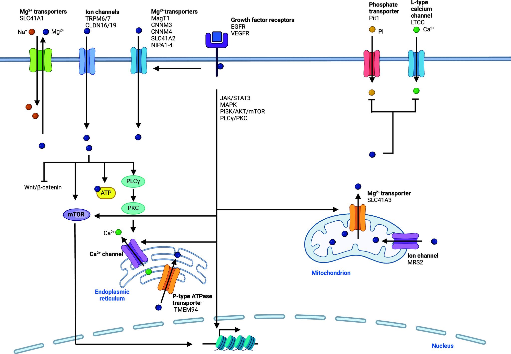 https://cdn.ncbi.nlm.nih.gov/pmc/blobs/4708/11758815/1f014762a3d8/cr4c00577_0005.jpg