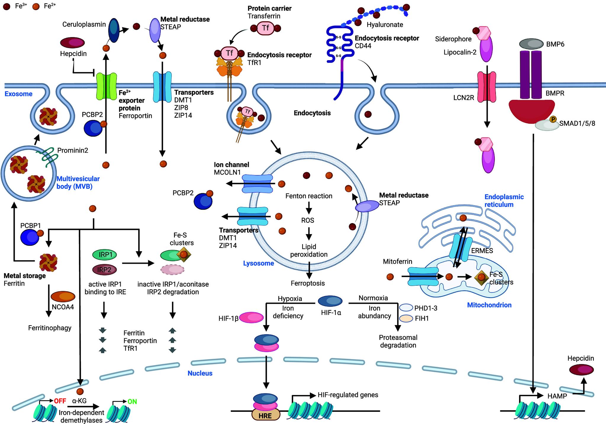 https://cdn.ncbi.nlm.nih.gov/pmc/blobs/4708/11758815/6f250b3f5711/cr4c00577_0008.jpg