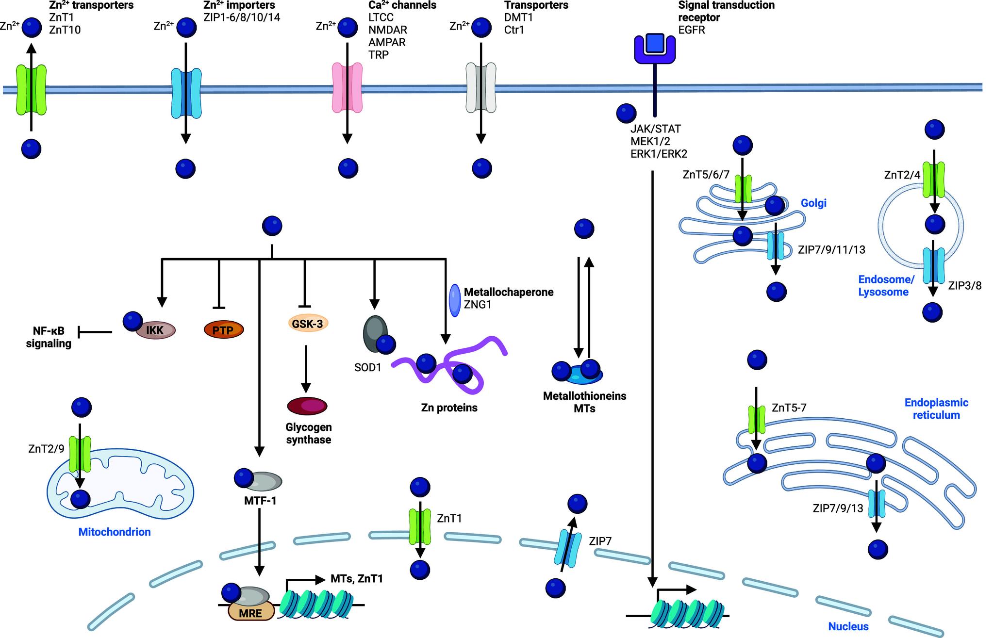 https://cdn.ncbi.nlm.nih.gov/pmc/blobs/4708/11758815/b15f57adef0f/cr4c00577_0010.jpg