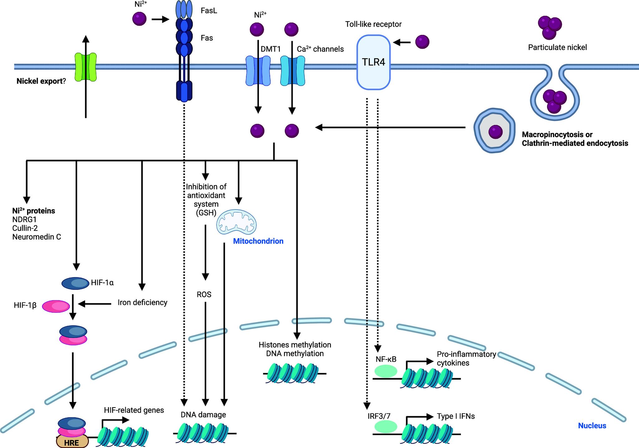 https://cdn.ncbi.nlm.nih.gov/pmc/blobs/4708/11758815/d601d9808168/cr4c00577_0012.jpg