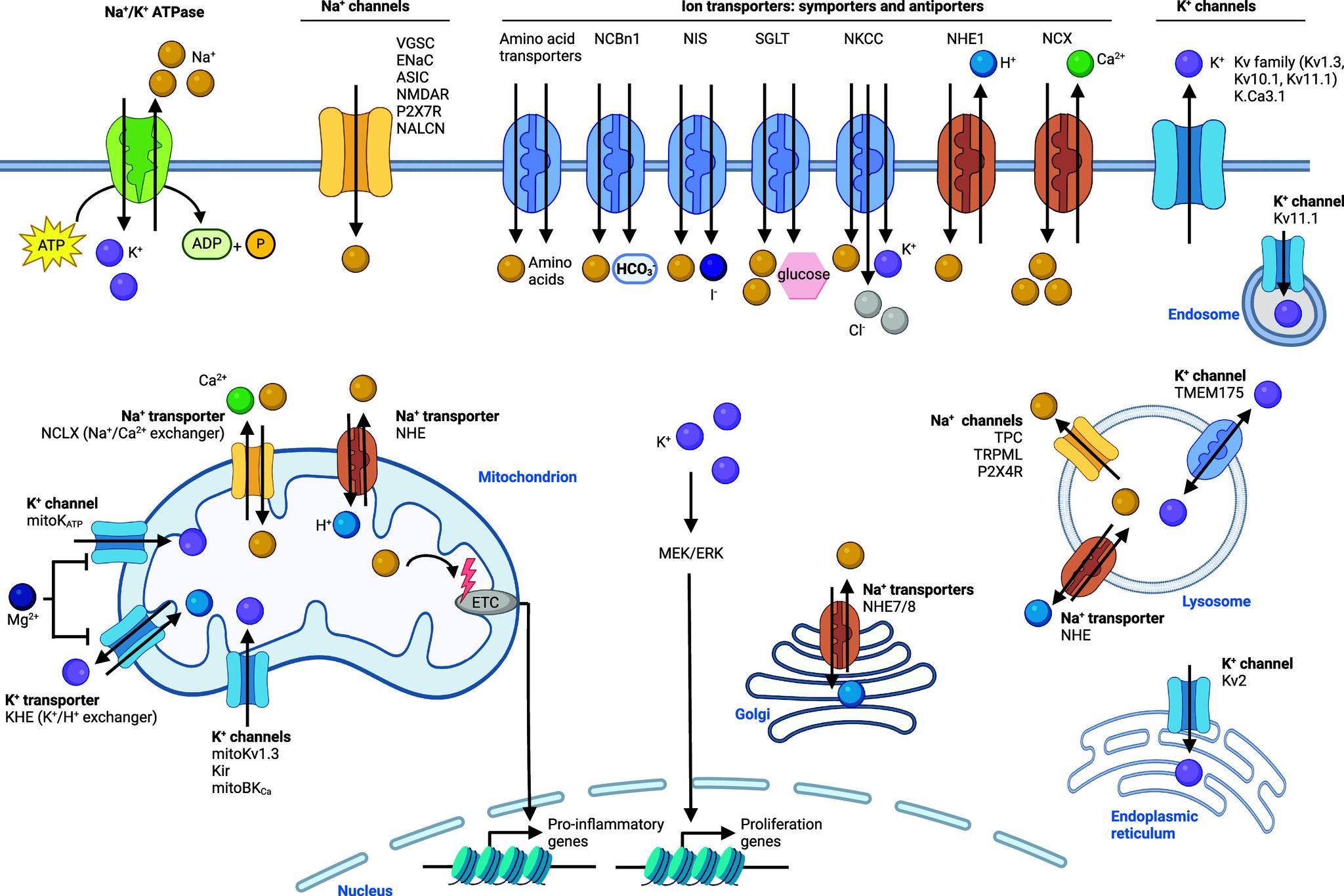 https://cdn.ncbi.nlm.nih.gov/pmc/blobs/4708/11758815/e7f068956c0f/cr4c00577_0004.jpg