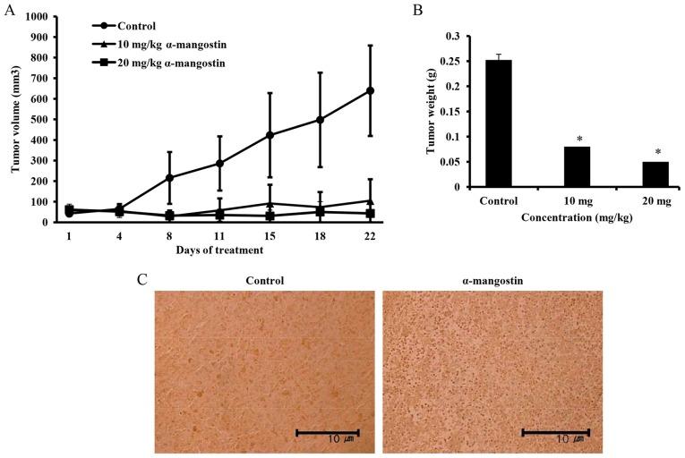 https://cdn.ncbi.nlm.nih.gov/pmc/blobs/4708/4790674/4446ee5d07bb/IJMM-37-04-0939-g06.jpg