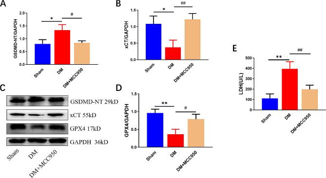 https://cdn.ncbi.nlm.nih.gov/pmc/blobs/4709/11234732/5bc57f82d02c/12872_2024_4010_Fig2_HTML.jpg