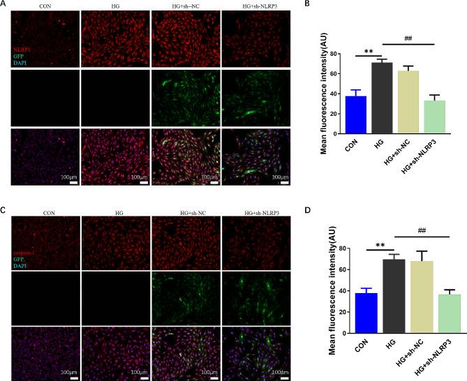 https://cdn.ncbi.nlm.nih.gov/pmc/blobs/4709/11234732/c925a6c4020e/12872_2024_4010_Fig6_HTML.jpg