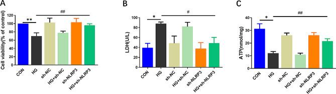 https://cdn.ncbi.nlm.nih.gov/pmc/blobs/4709/11234732/e343bba8ea9a/12872_2024_4010_Fig4_HTML.jpg
