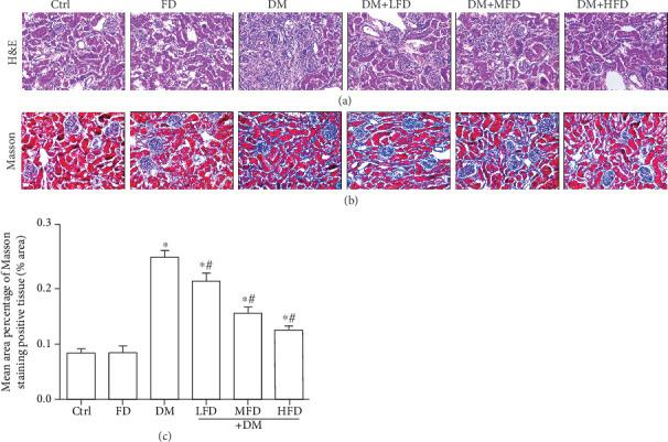 https://cdn.ncbi.nlm.nih.gov/pmc/blobs/470a/7345603/51e4ce8047b7/JDR2020-4126913.002.jpg