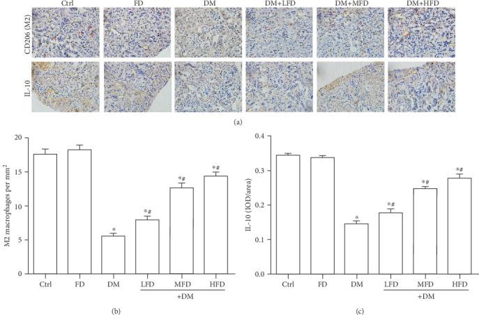 https://cdn.ncbi.nlm.nih.gov/pmc/blobs/470a/7345603/c8b3ffd76552/JDR2020-4126913.004.jpg