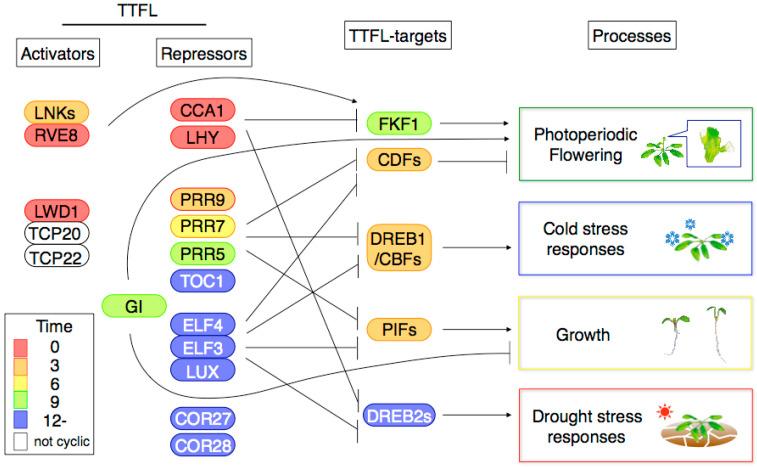 https://cdn.ncbi.nlm.nih.gov/pmc/blobs/470a/7692566/201130ad20cf/genes-11-01284-g001.jpg