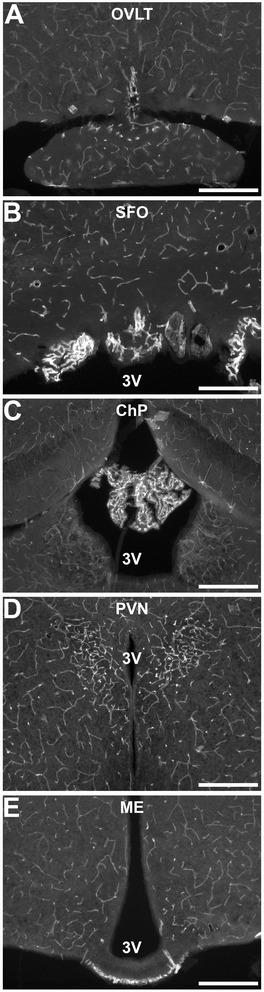 https://cdn.ncbi.nlm.nih.gov/pmc/blobs/470b/5680784/50911f6f2c0c/12974_2017_990_Fig1_HTML.jpg